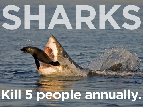 aggressive sharks - Sharks Kill 5 people annually.
