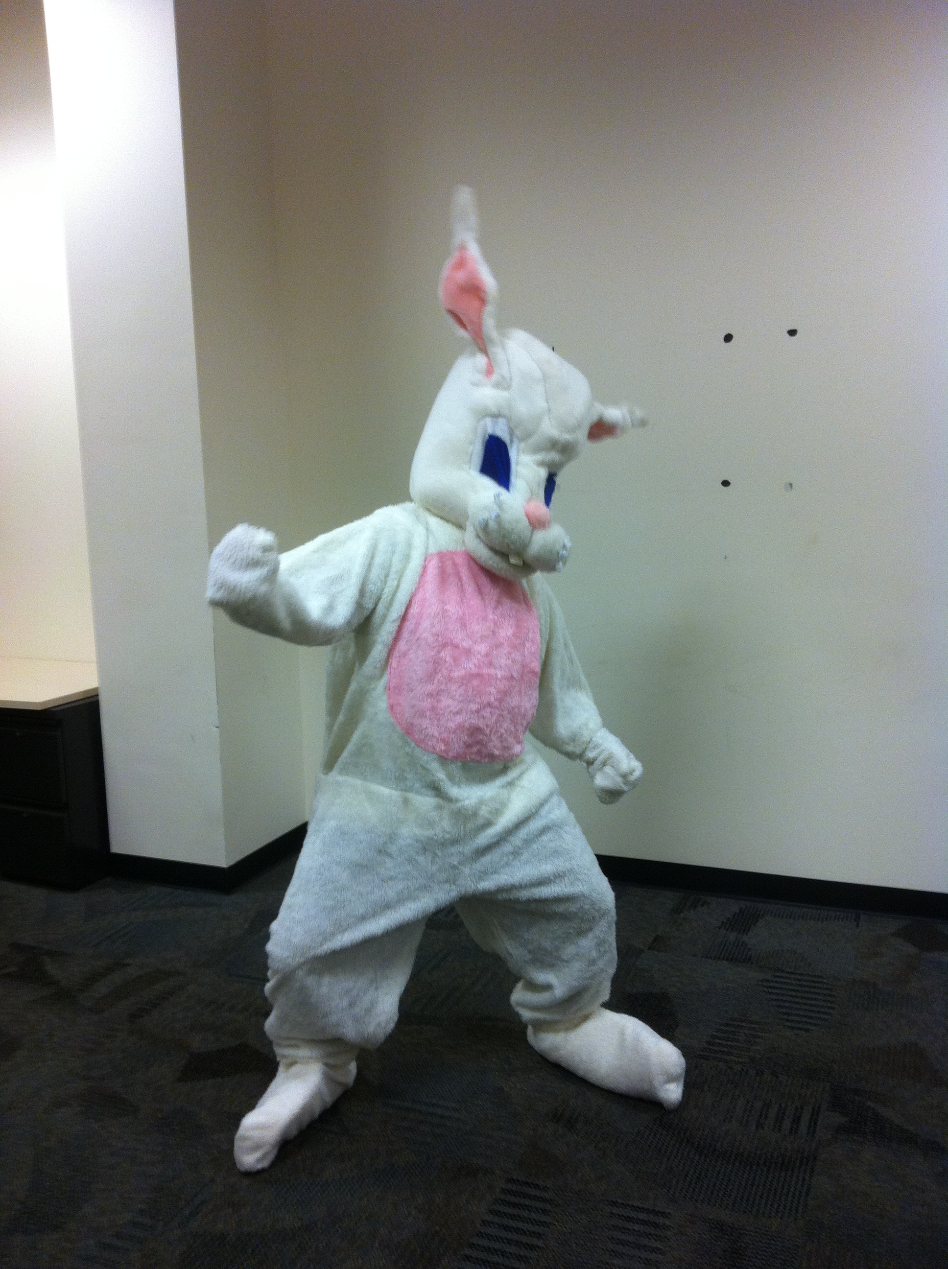 This was actually me back during Easter and my work...I had to dress up as the Easter Bunny for Pictures with the employees kid.  It was like a million degrees in that thing and I wore it for about 3 hours!