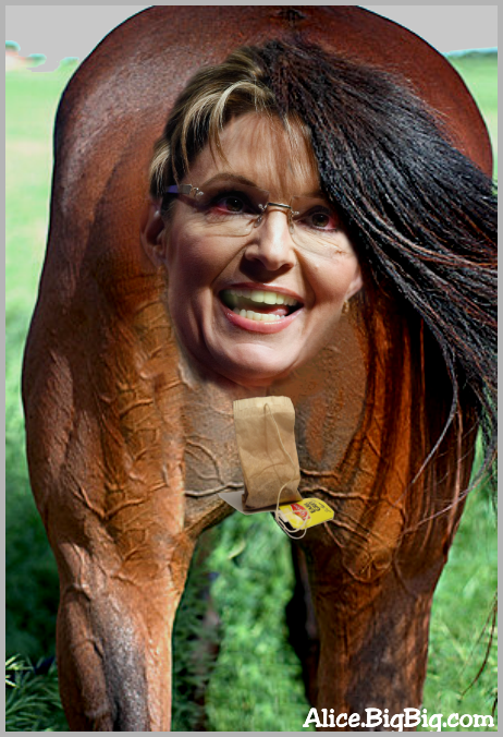 Sarah Palin, the biggest horses ass to date!