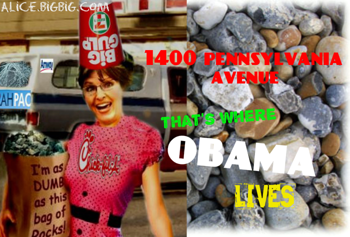 Sarah Palin says the White house is located at 1400 pennsylvania avenue.
Dumb as a bag of rocks you say, that's degrading to a bag of rocks :)