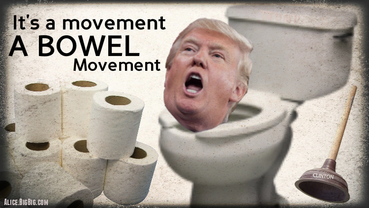 A bowel movement