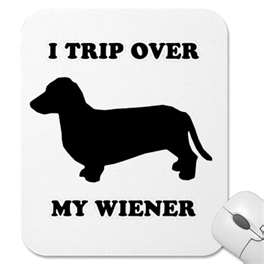 I TRIPPED OVER MY WEINER !