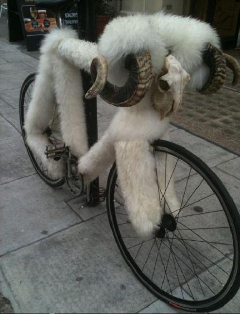 GOAT BIKE