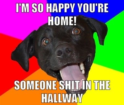 I'M So Happy You'Re Home! Someone Shit In The Hallway