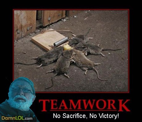 random pic teamwork funny - Teamwork No Sacrifice, No Victory! DamnLOL.com