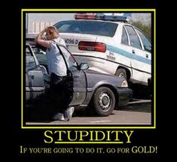 Stupidity!! Enough Said
