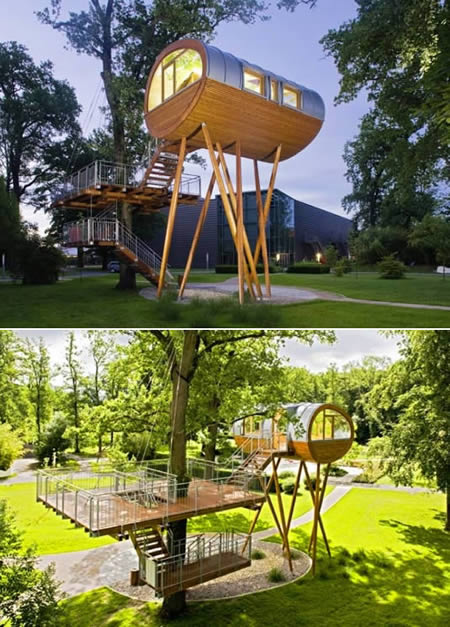 Awesome Tree Houses