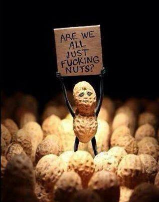 Random Random Random!!!