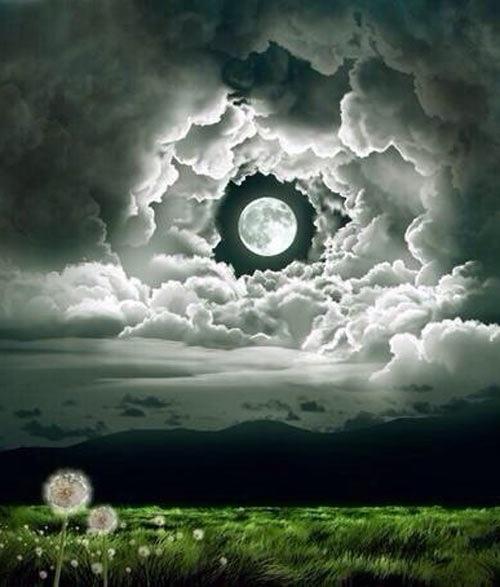 Random Random Random!!!