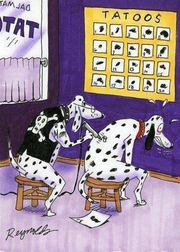 Random Random Random!!!