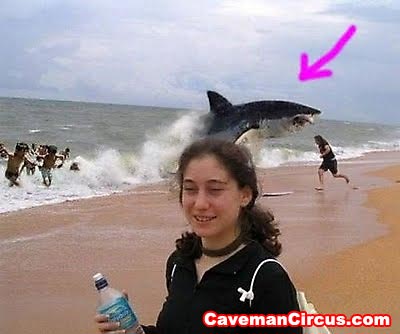 crazy photobombs