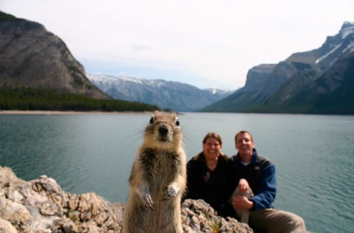 crazy photobombs