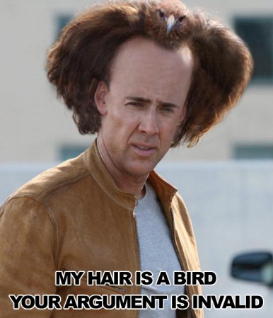 My hair is a bird, your argument is invalid.