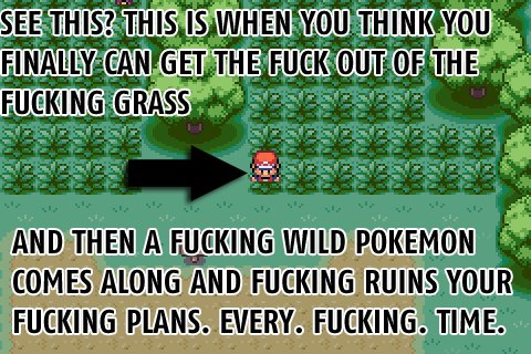 Fuck - See This? This Is When You Think You Finally Can Get The Fuck Out Of The Fucking Grassa Ndro And Then A Fucking Wild Pokemon Comes Along And Fucking Ruins Your Fucking Plans. Every. Fucking. Time.