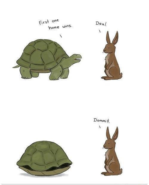 tortoise vs hare - First one home wins Deal Dammit.