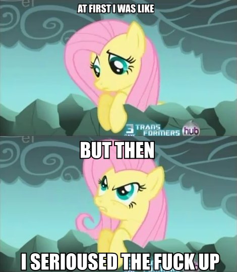 Fluttershy - At First I Was STRANERs hub But Then I Serioused The Fuckup