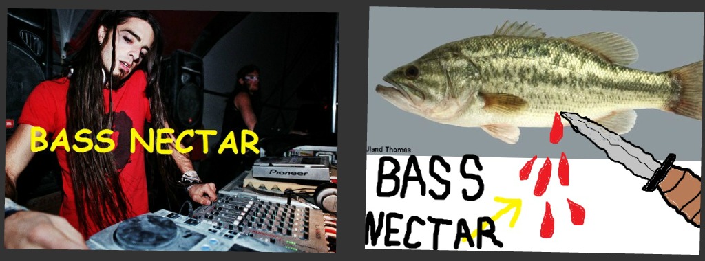 bass nectar vs bass nectar