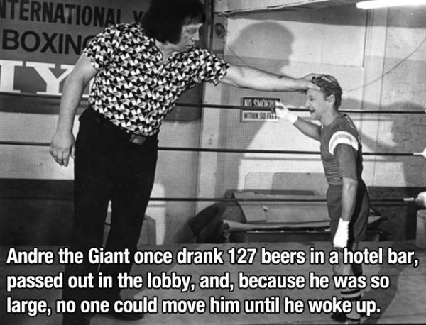 andre the giant young - Ternation Boxing A Smokin Metra Sofia Andre the Giant once drank 127 beers in a hotel bar, passed out in the lobby, and, because he was so large, no one could move him until he woke up.