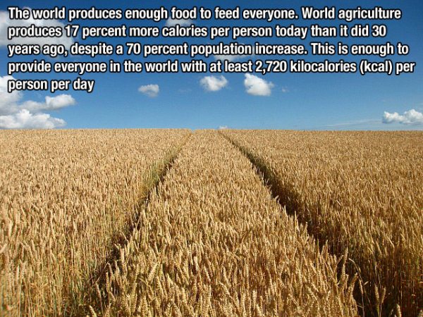 amazing facts of the world - The world produces enough food to feed everyone. World agriculture produces 17 percent more calories per person today than it did 30 years ago, despite a 70 percent population increase. This is enough to provide everyone in th