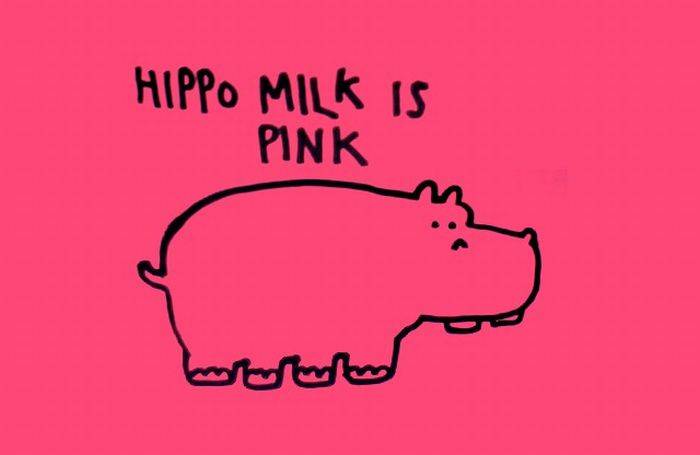 interesting facts - Hippo Milk Is Pink