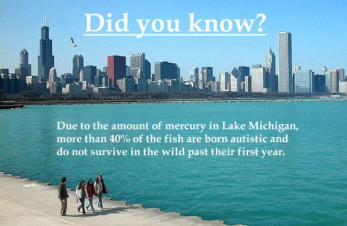 willis tower - Did you know? Due to the amount of mercury in Lake Michigan, more than 40% of the fish are born autistic and do not survive in the wild past their first year.