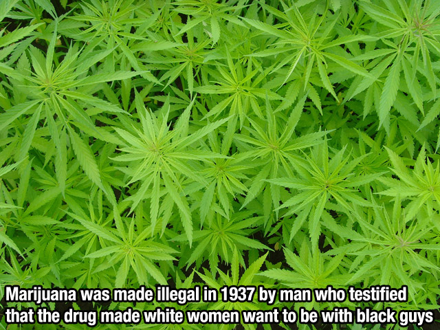 32 Interesting Facts