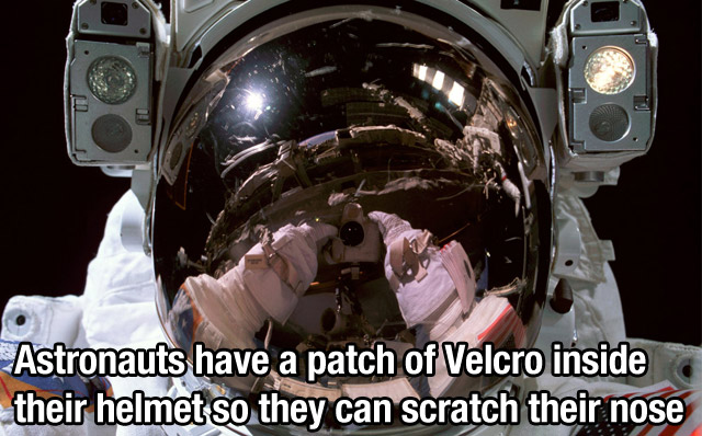 Astronauts have a patch of Velcro inside their helmet so they can scratch their nose