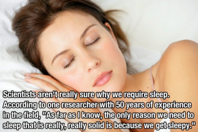 Scientists aren't really sure why we require sleep. According to one researcher with 50 years of experience in the field, 'As far as I know, the only reason we need to sleep that is really, really solid is becuase we get sleepy.'