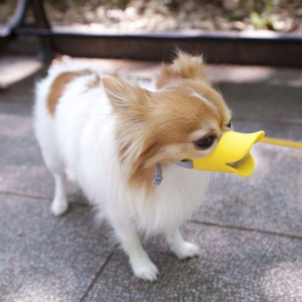 dog muzzle duck bill