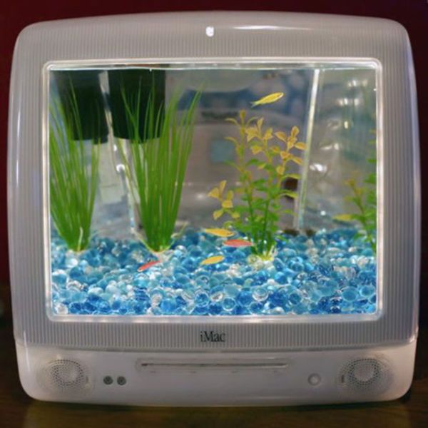 imac aquarium - iMac