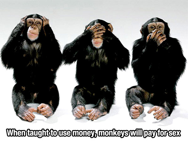 three monkeys sign - When taught to use money, monkeys will pay for sex