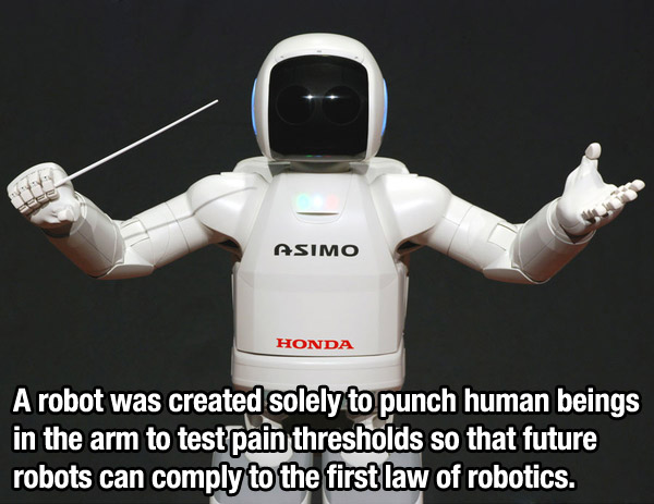 Simo Honda A robot was created solely to punch human beings in the arm to test pain thresholds so that future robots can comply to the first law of robotics.