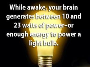 amazing facts on brain - While awake, your brain generates between 10 and 23 watts of poweror enough energy to power a light bullo.