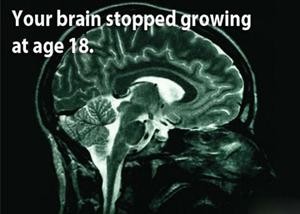 amazing facts about human brain - Your brain stopped growing at age 18.