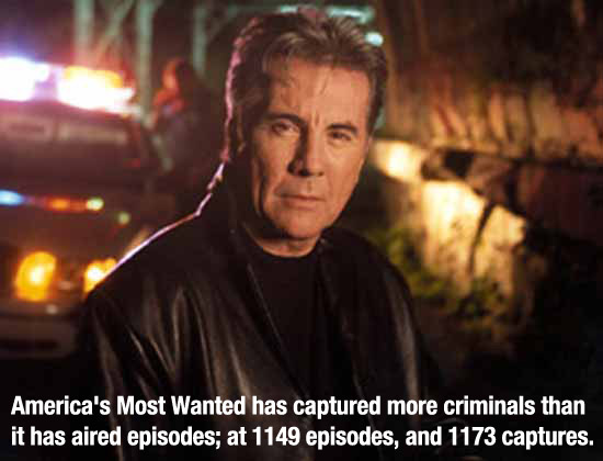 americas most wanted john walsh - America's Most Wanted has captured more criminals than it has aired episodes; at 1149 episodes, and 1173 captures.