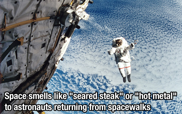 bungee jumping in space - Space smells "seared steak" or "hot metal to astronauts returning from spacewalks