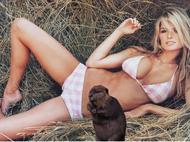 Hot Women With Beavers