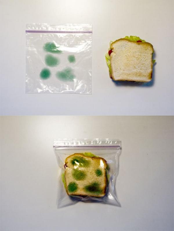 No one will steal your sandwich if it's in this bag!