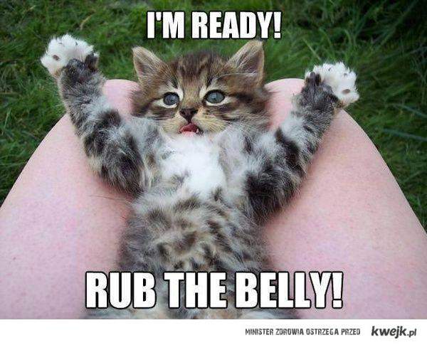 Rub the belly!!!