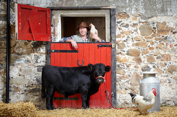Archie, the world's Shortest Bull 30 inches 76.2 cm from hoof to withers