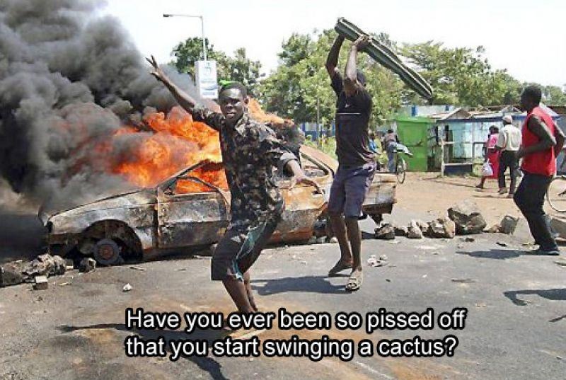 That you started swinging a cactus?