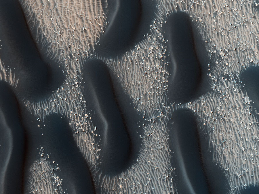A Dark Dune Field in Proctor Crater on Mars