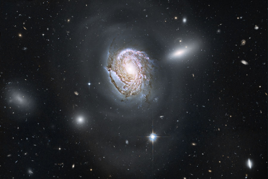 NGC 4911: Spiral Diving into a Dense Cluster