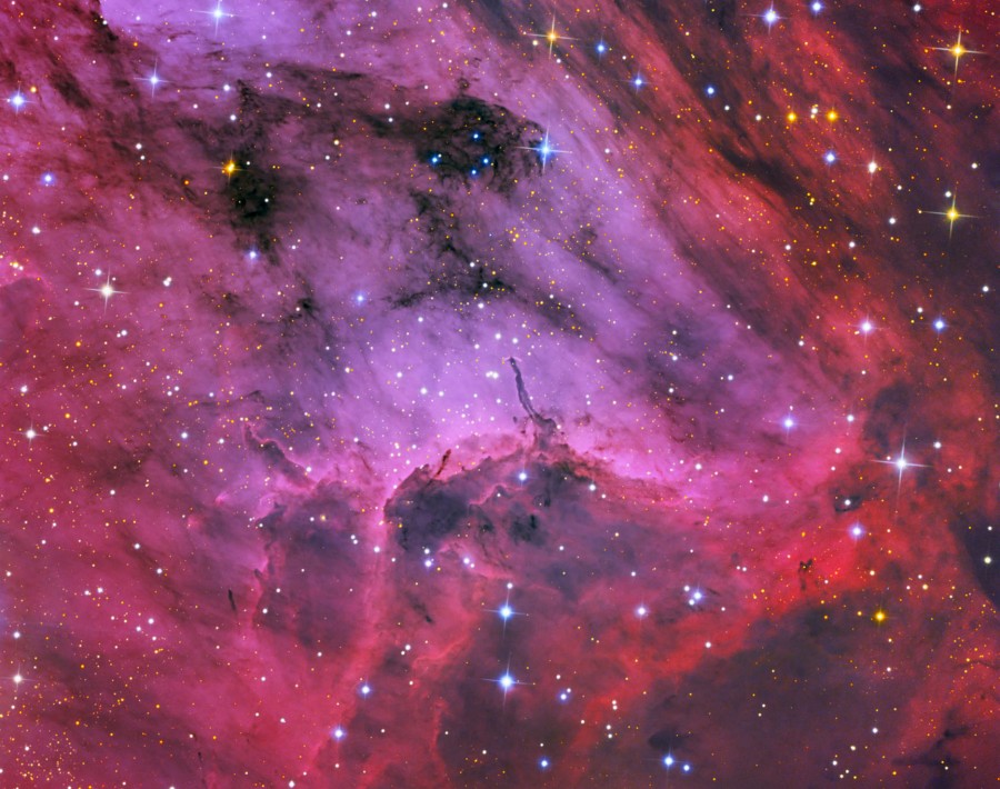 Pelican Nebula Close-up
