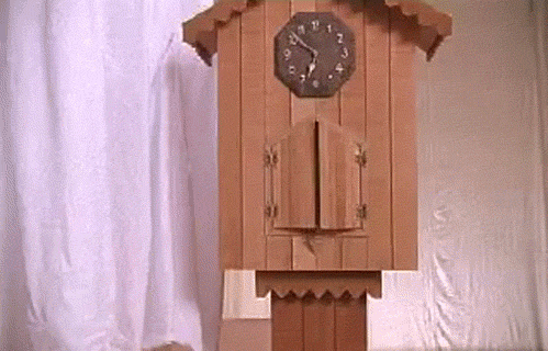 gifs - bird house opens to see a cat inside and feathers falling out