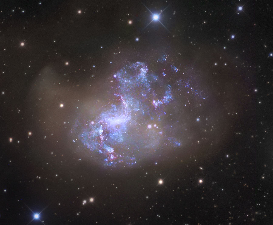 Unusual Starburst Galaxy NGC 1313