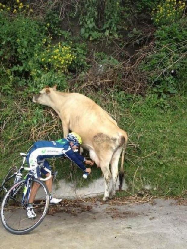 funny cycling