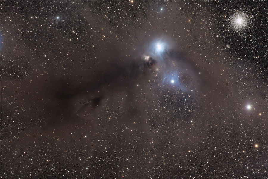 Stars and Dust Across Corona Australis