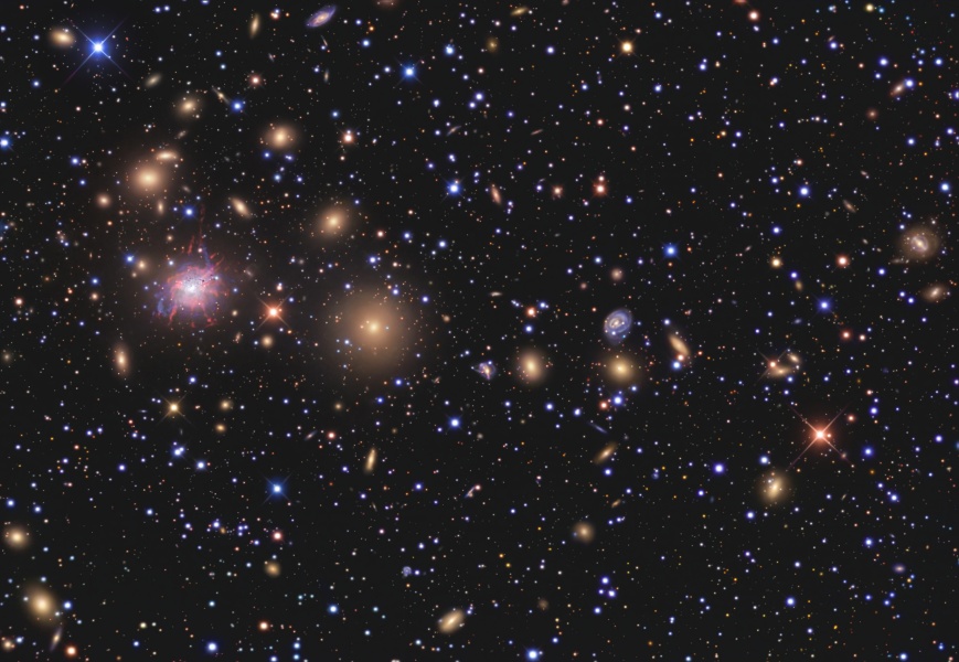 Galaxies of the Perseus Cluster