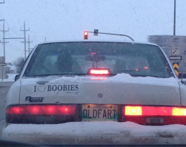 Daily Funny Pictures